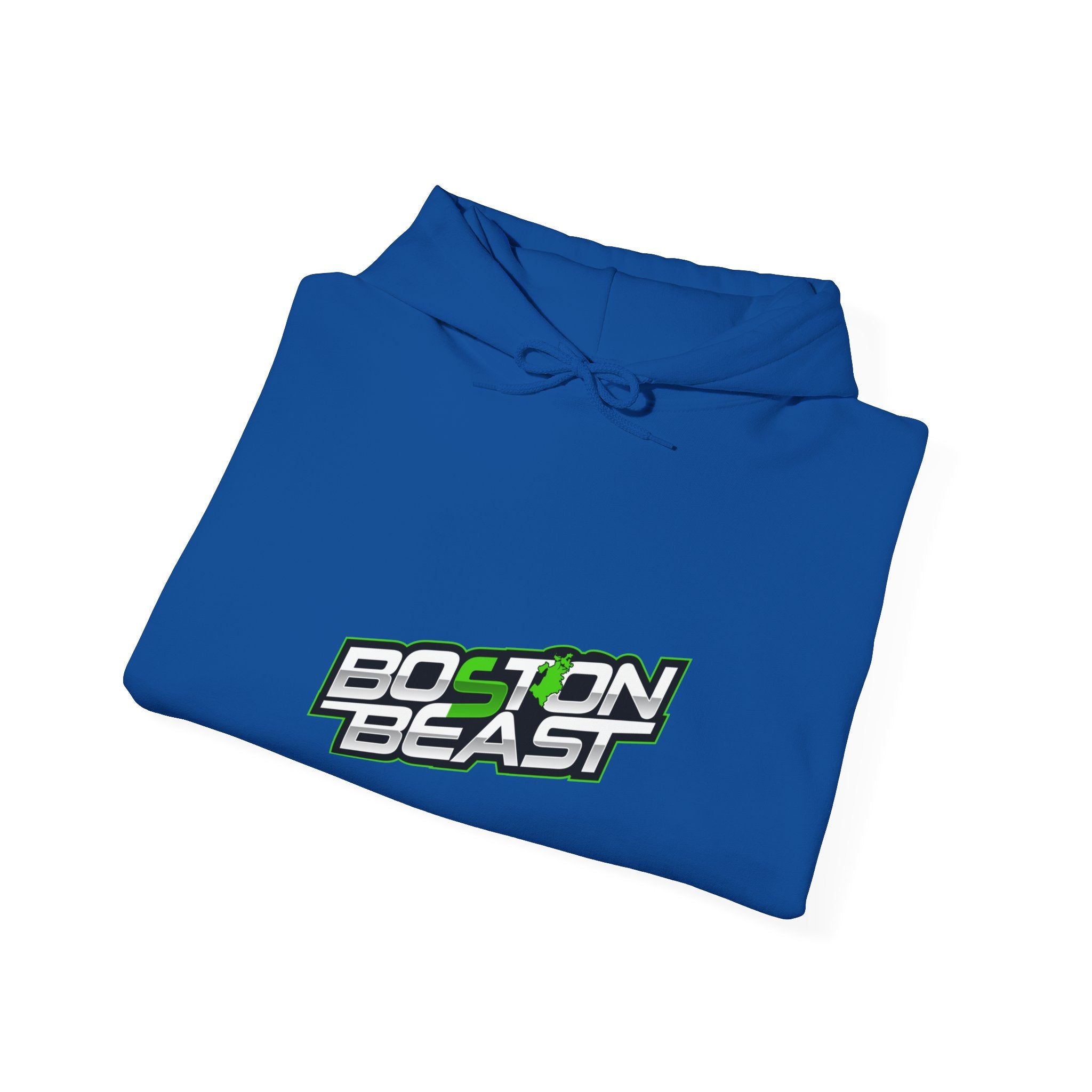 Boston Beast Unisex Heavy Blend Hoodie. Green Map Logo