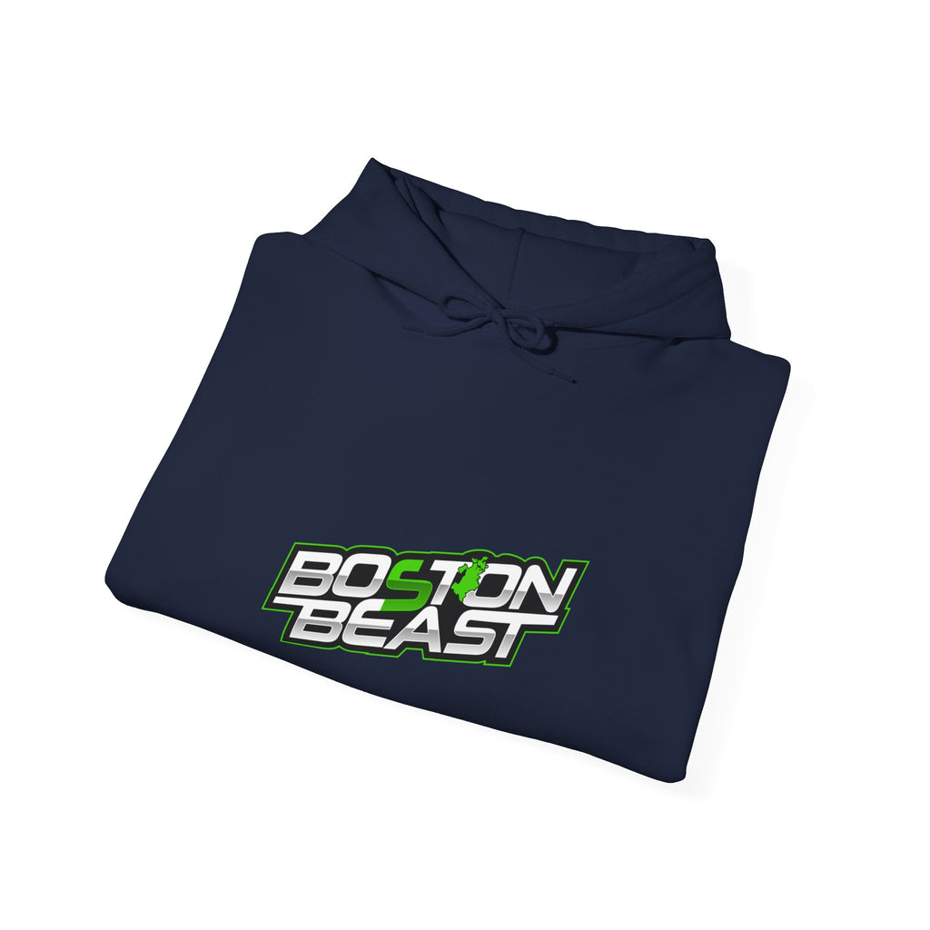 Boston Beast Unisex Heavy Blend Hoodie. Green Map Logo