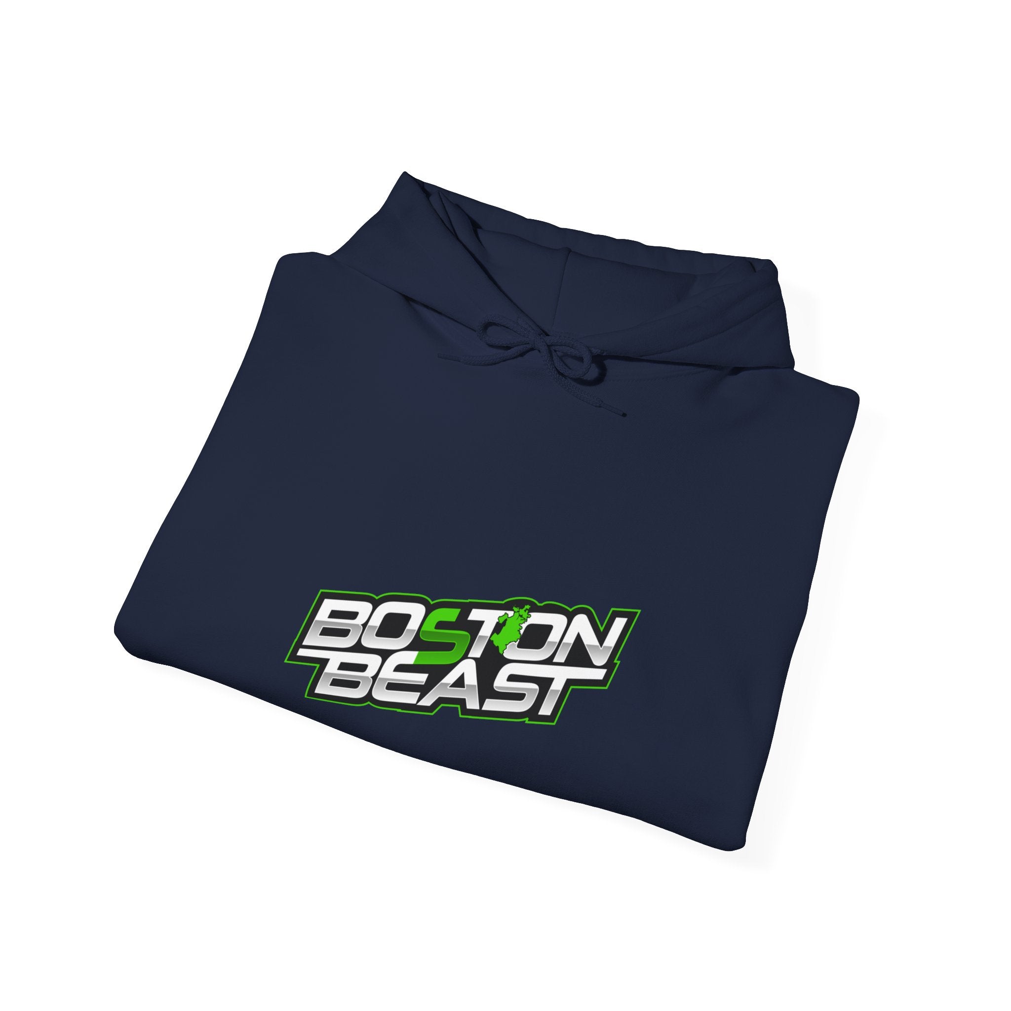 Boston Beast Unisex Heavy Blend Hoodie. Green Map Logo