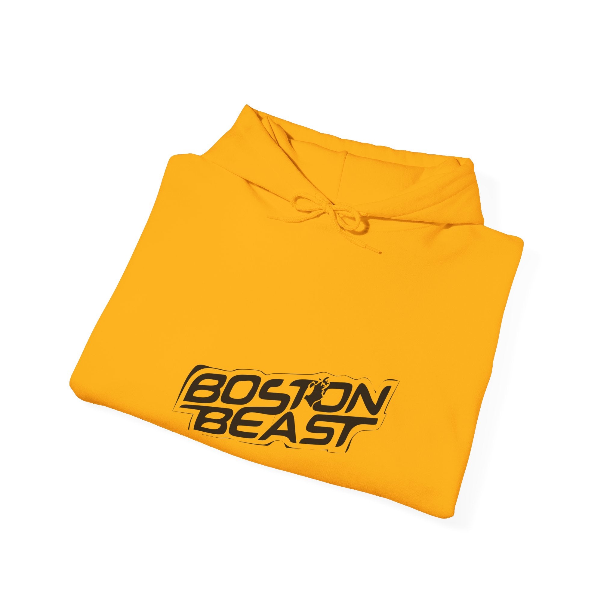 Boston Beast Unisex Heavy Blend Hoodie. Black Logo